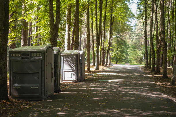 Best Event porta potty rental  in Morenci, MI